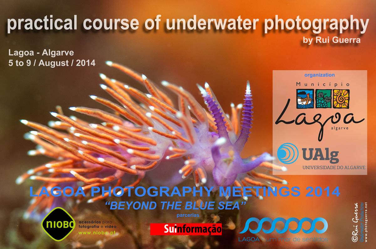 underwater photography course