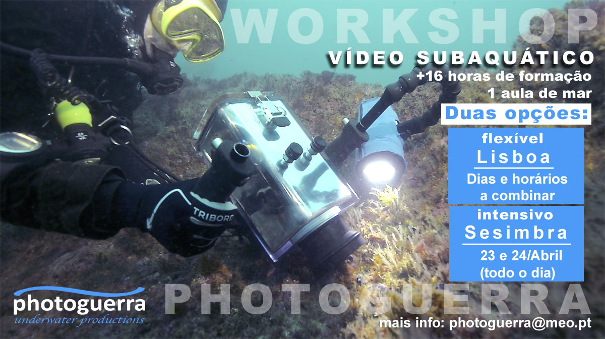 workshop video subaquático
