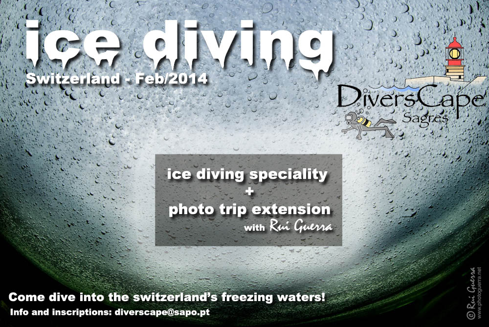 ice diving