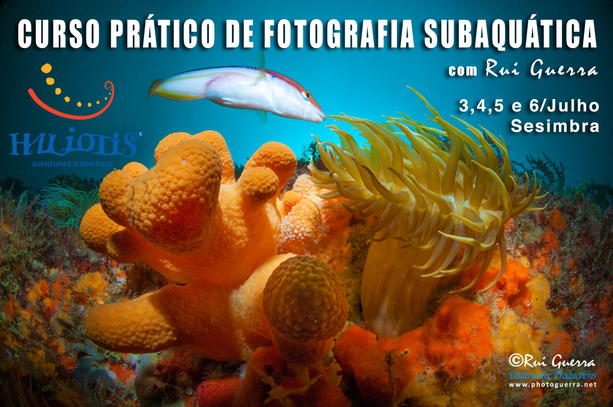 curso Haliotis Julho 2015