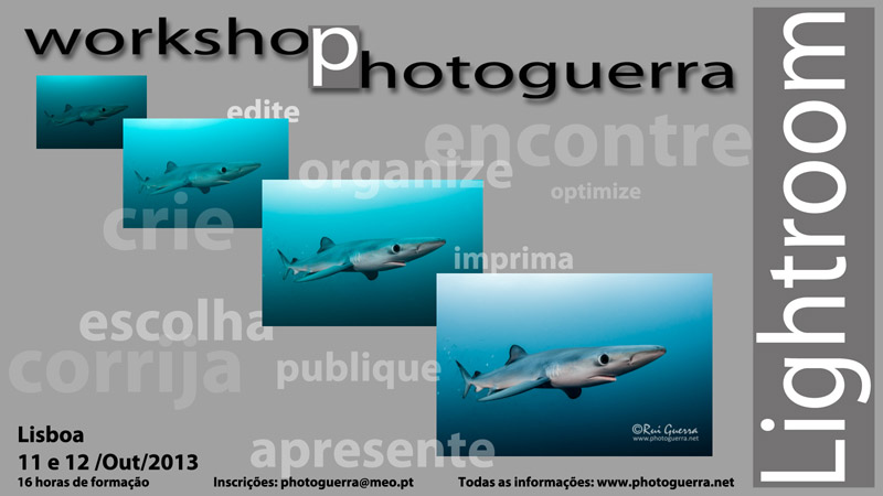 cartaz workshop lightroom