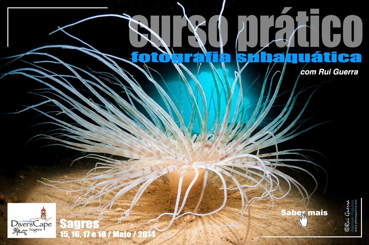 curso rui guerra sagres maio 2014